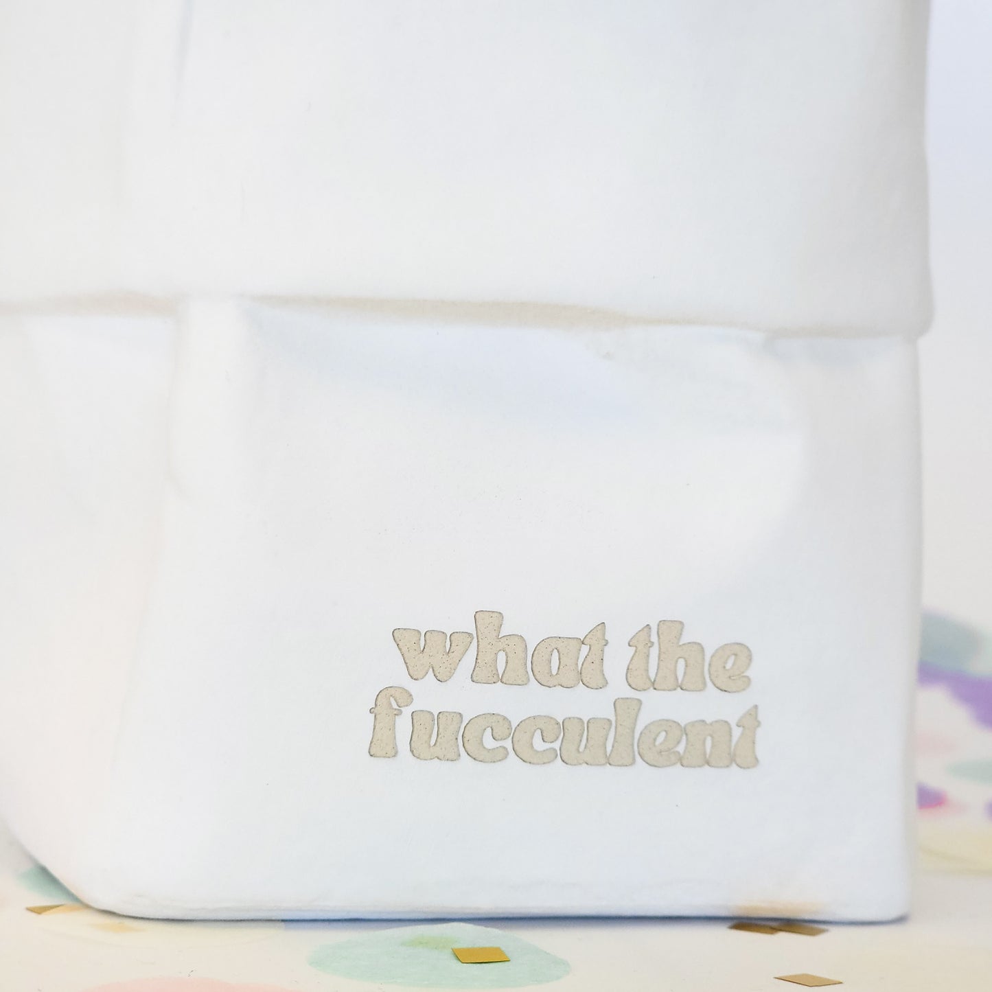 What The Fucculent Pot (clearance)