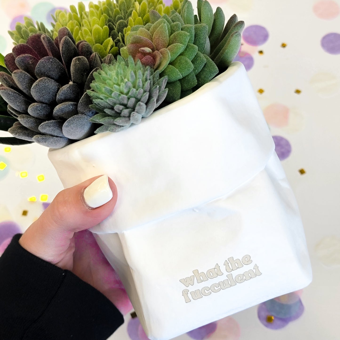 What The Fucculent Pot (clearance)