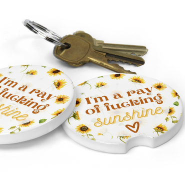 I'm A Ray Of Fucking Sunshine Sandstone Car Coaster Set (Set of 2)