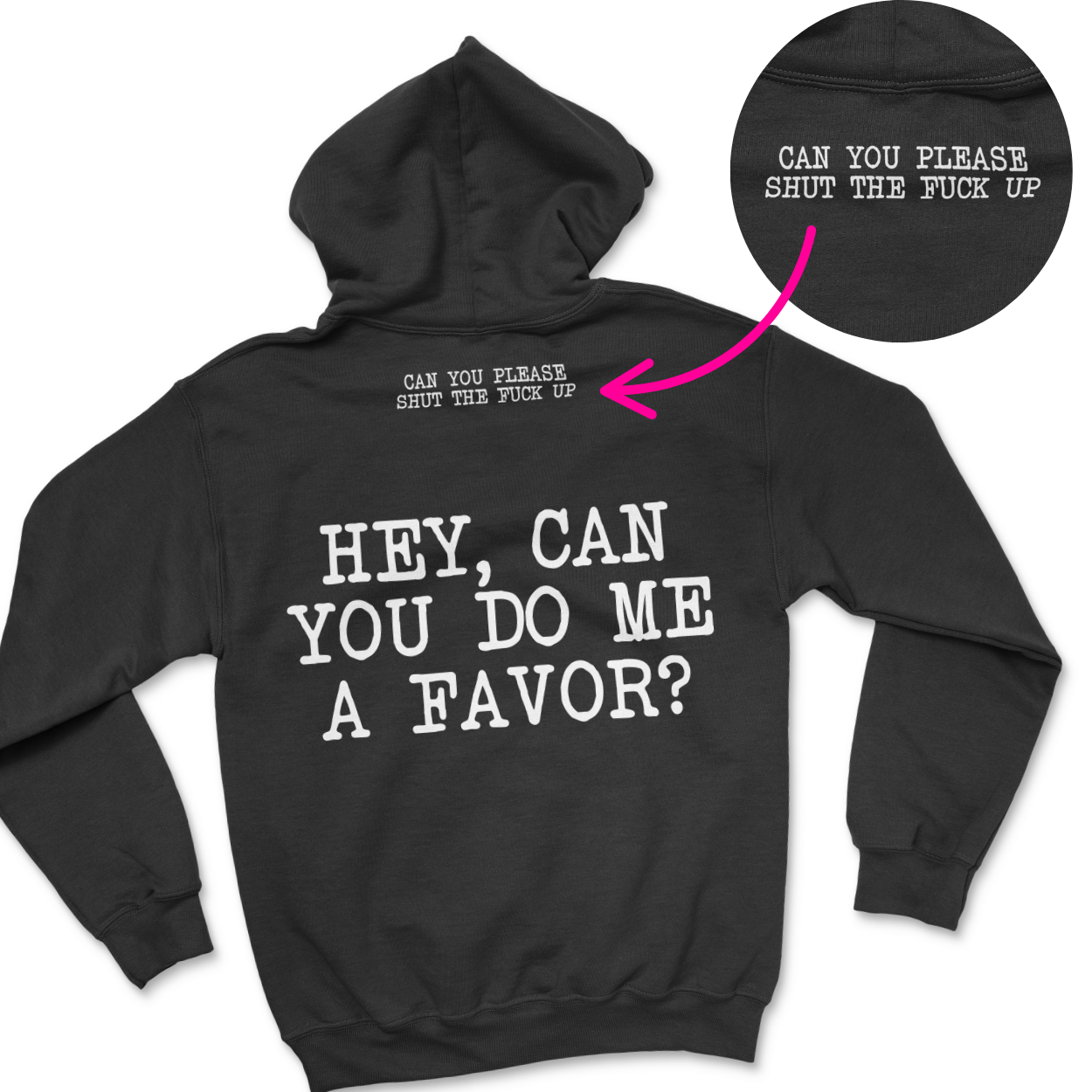 Can You Do Me A Favor - Hidden STFU Hoodie