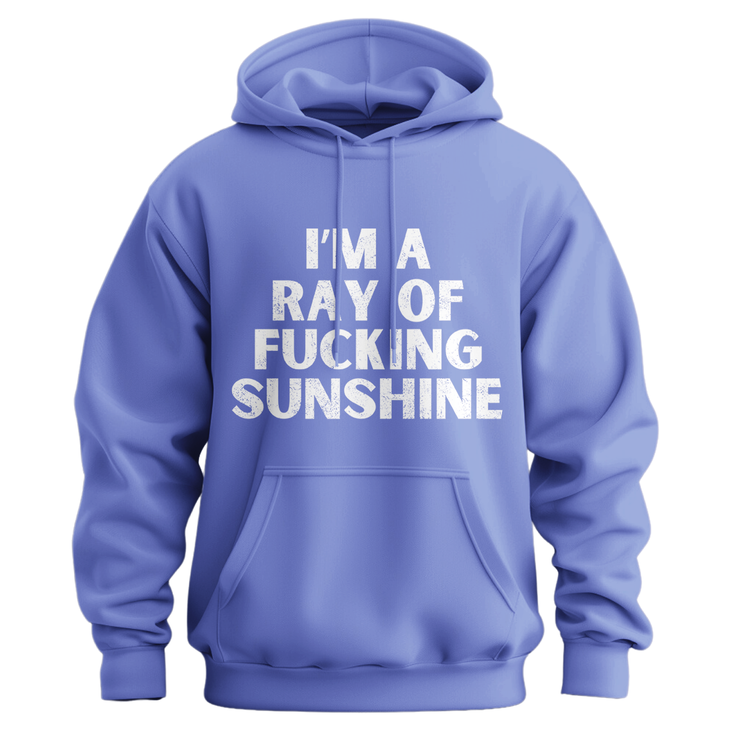 I'm A Ray Of Ray Of Sunshine Hoodie