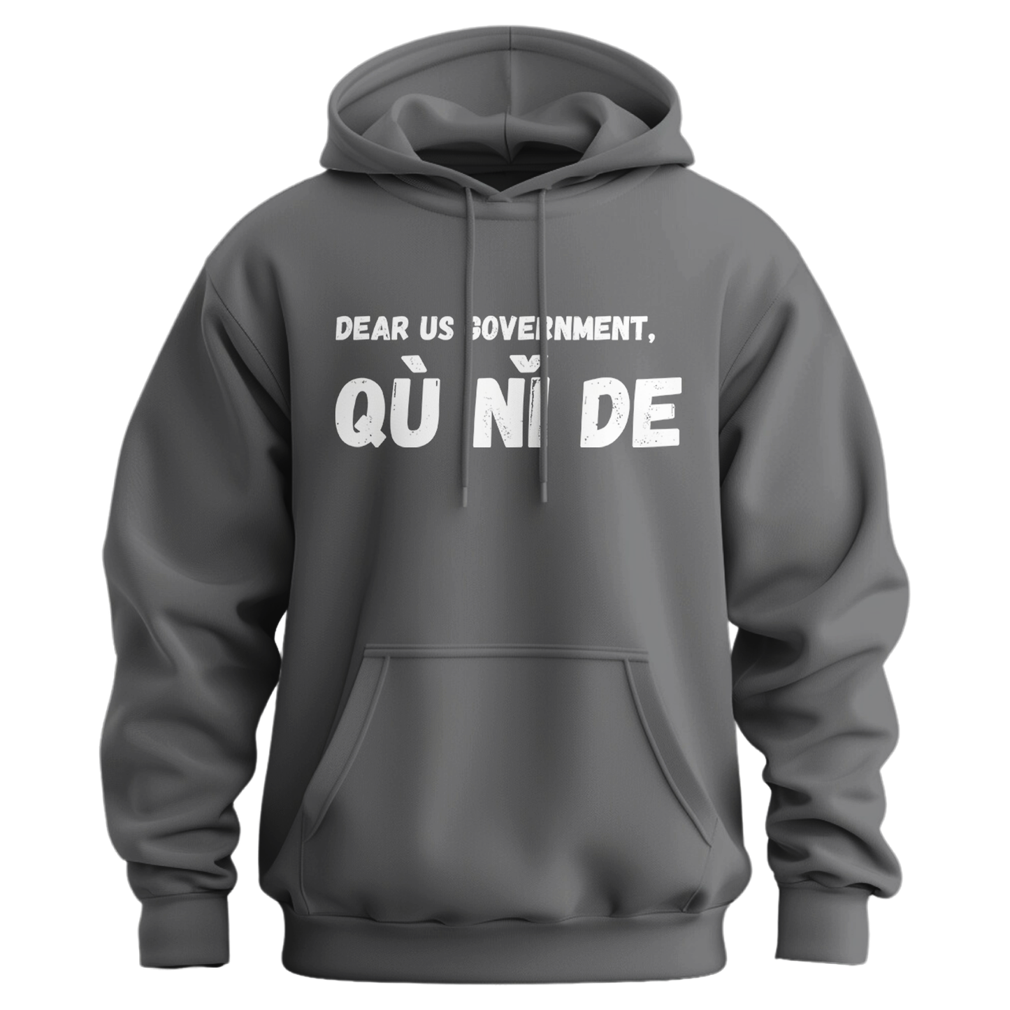 Dear Government Fuck You (in Chinese) Hoodie