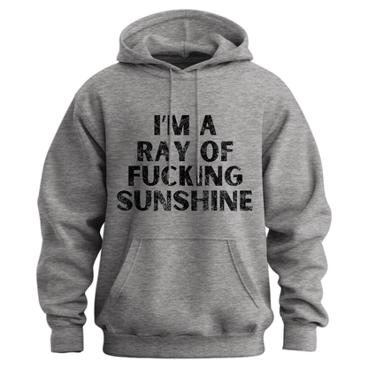 I'm A Ray Of Ray Of Sunshine Hoodie