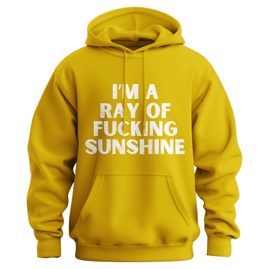 I'm A Ray Of Ray Of Sunshine Hoodie