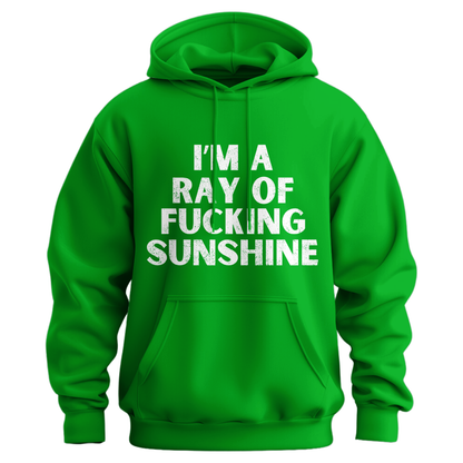 I'm A Ray Of Ray Of Sunshine Hoodie