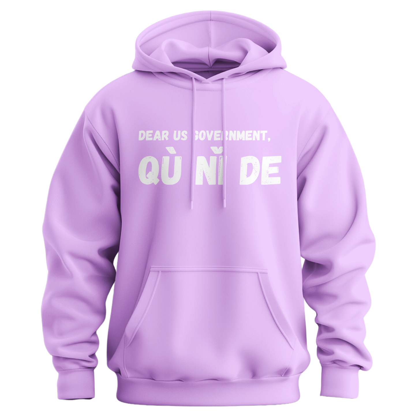 Dear Government Fuck You (in Chinese) Hoodie