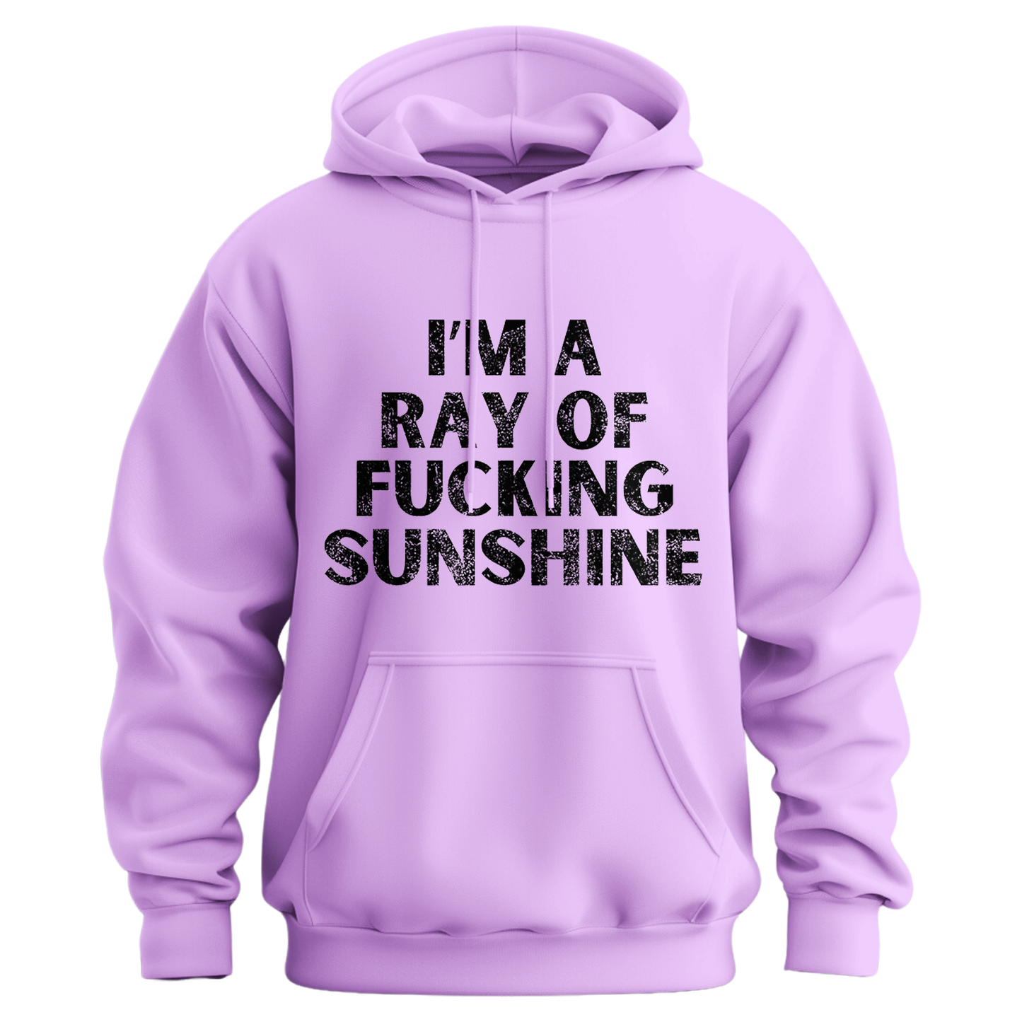 I'm A Ray Of Ray Of Sunshine Hoodie