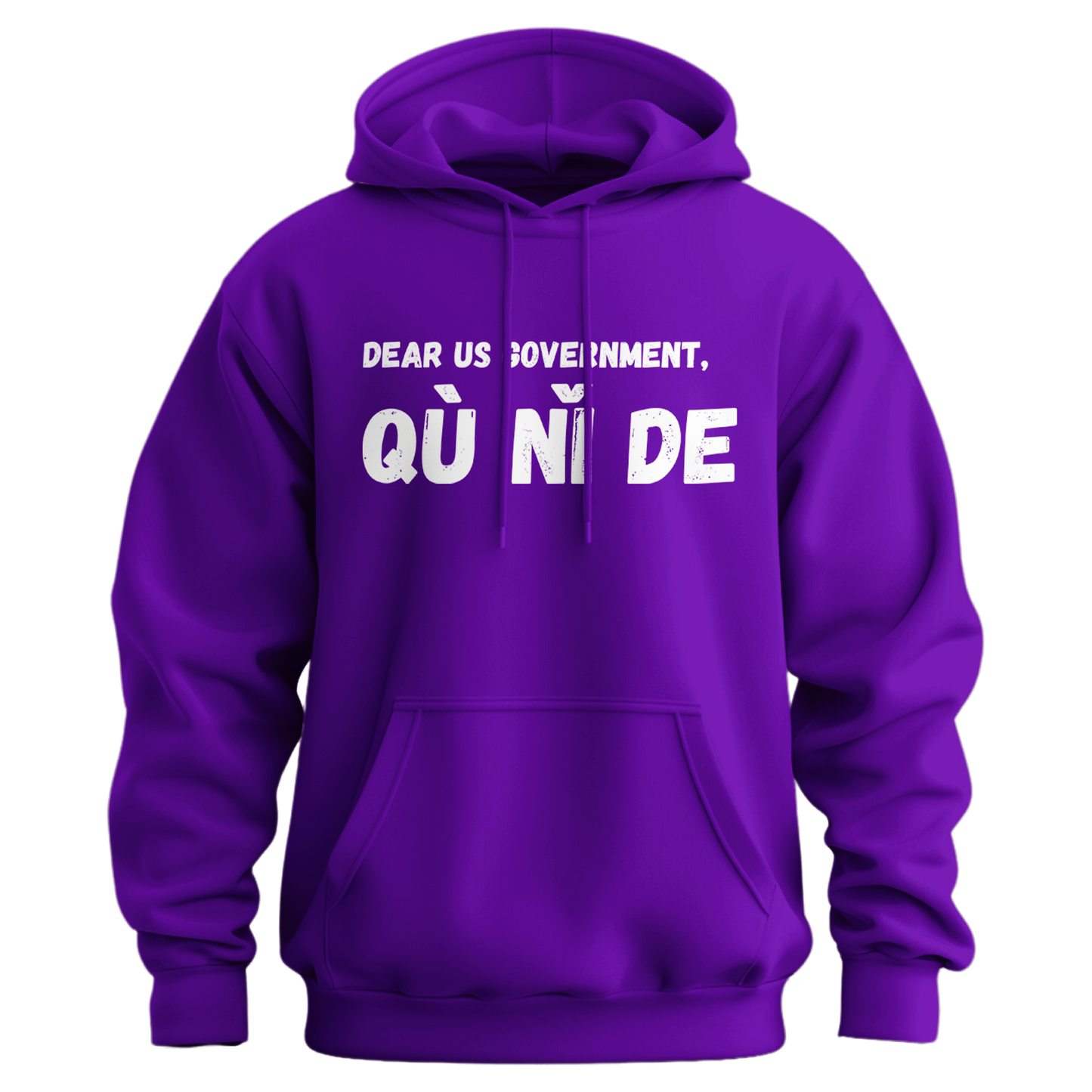 Dear Government Fuck You (in Chinese) Hoodie