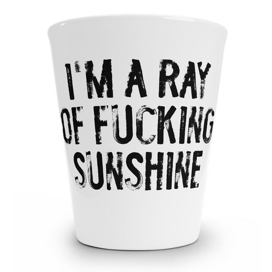 Ray Of Fucking Sunshine Shot Glass