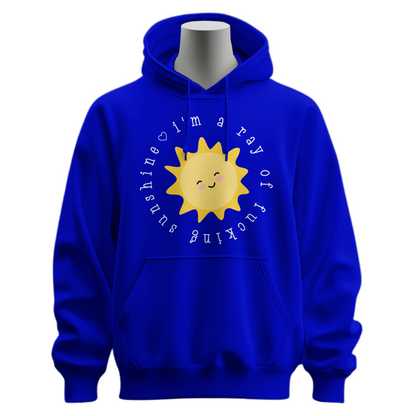 I'm A Ray Of Fucking Sunshine Hoodie