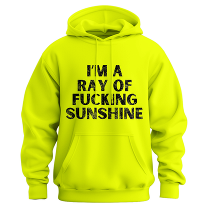 I'm A Ray Of Ray Of Sunshine Hoodie