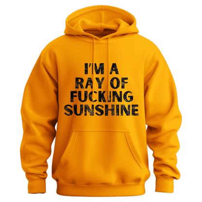 I'm A Ray Of Ray Of Sunshine Hoodie