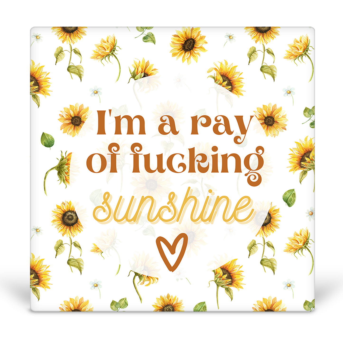 I'm A Ray of Fucking Sunshine Desk Sign